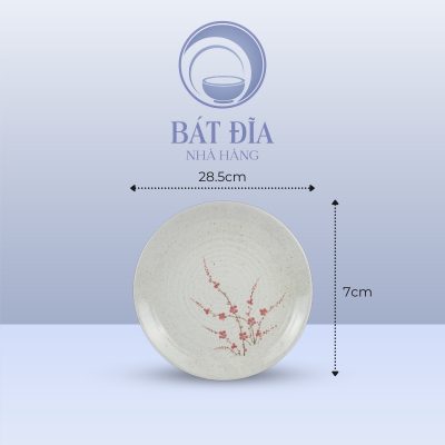 Kích Thước Bát Salad Men Gốm Hoa Đào Đỏ