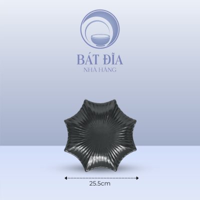 Đĩa Sao Men Đen Matt - 25.5cmx3cm