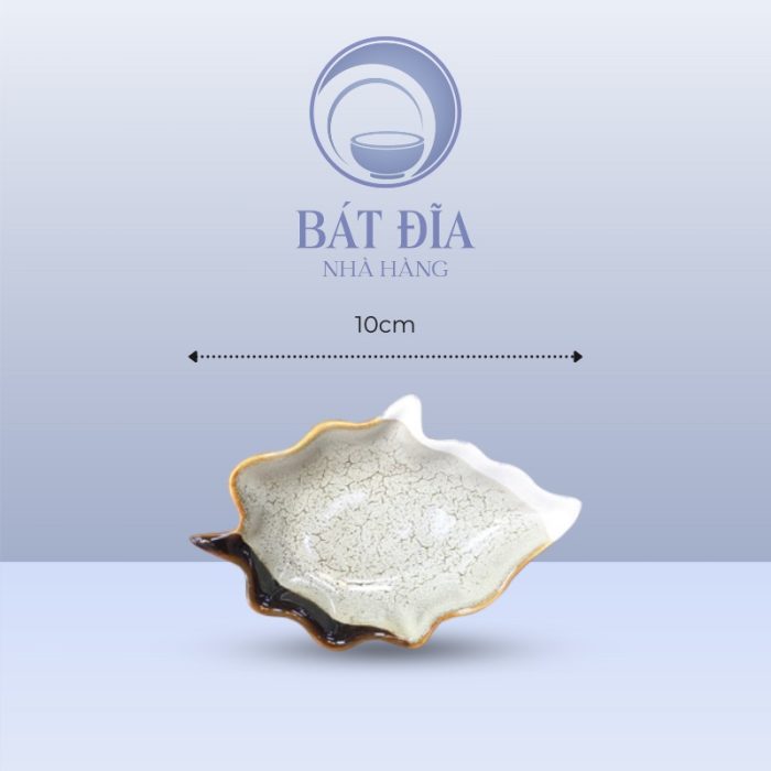 Kích thước Gia Vị Lá Men Ba Màu