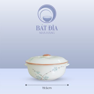 Kích Thước Âu Cơm Men Kem Hoa Đào Xanh