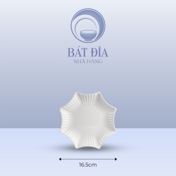 Kích Thước Đĩa Sao Melamine Trắng