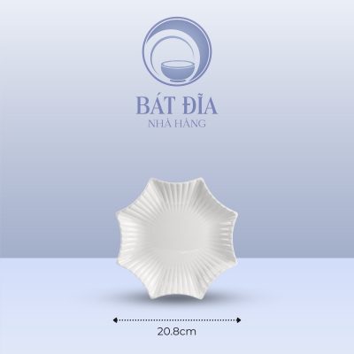 Kích Thước Đĩa Sao Melamine Trắng