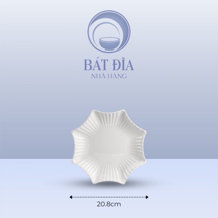 Kích Thước Đĩa Sao Melamine Trắng