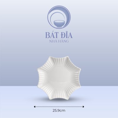 Kích Thước Đĩa Sao Melamine Trắng