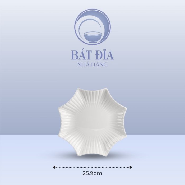 Kích Thước Đĩa Sao Melamine Trắng