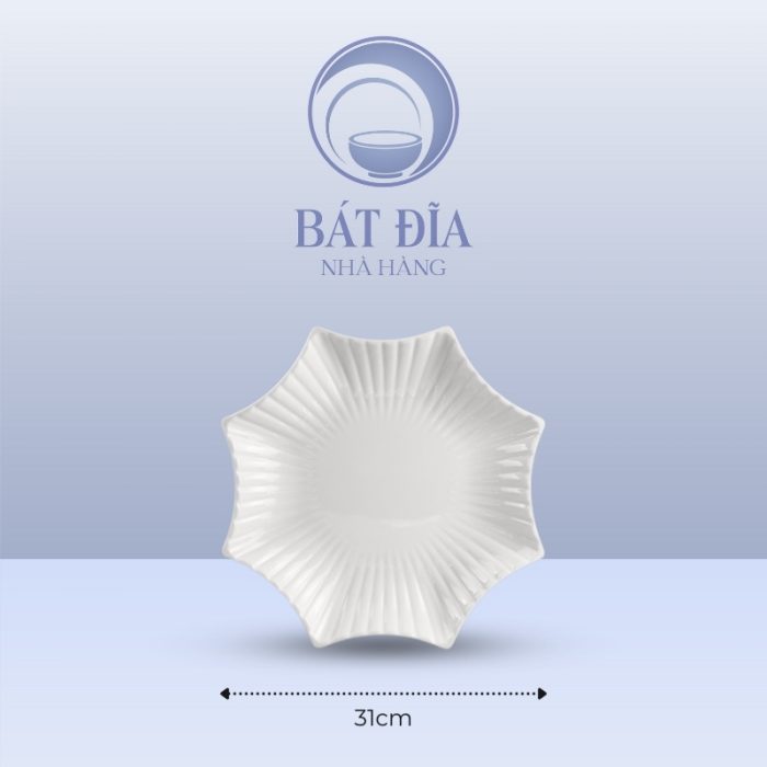 Kích Thước Đĩa Sao Melamine Trắng
