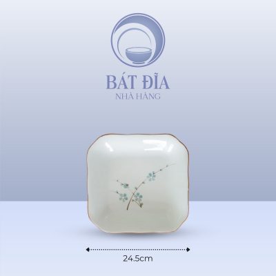 Kích Thước Đĩa Vuông Cắt Góc Men Kem Hoa Đào Xanh