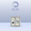 Gia Vị Vuông 2 Ngăn Men Rạn Vẽ Chuồn Xanh