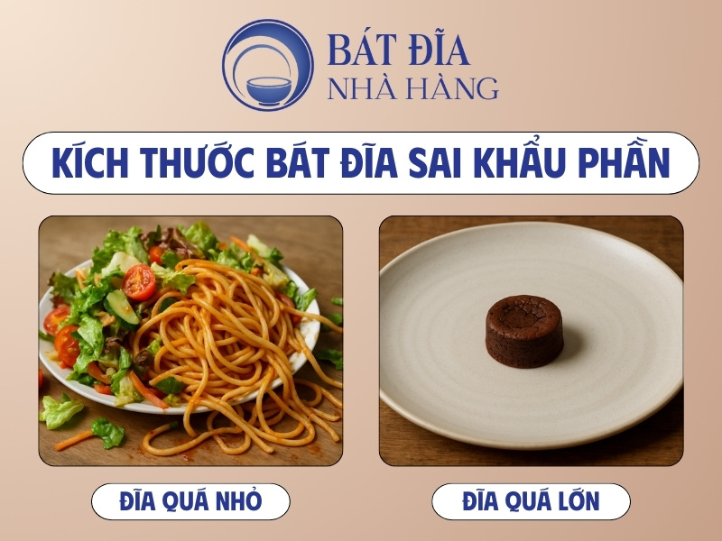 Kích thước bát đĩa không phù hợp với lượng thức ăn