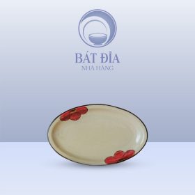 Đĩa bầu dục