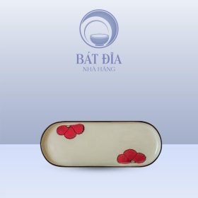 Đĩa dài