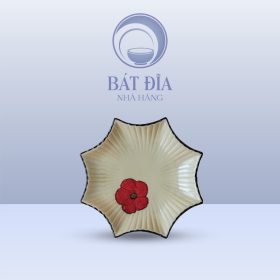Đĩa sao